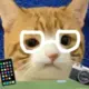 bilinergu