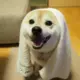 1969237785s的头像-天机阁