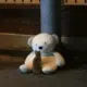 0.0