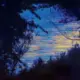 Agini的头像-投影工坊