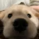 呃呃e