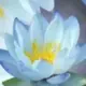 ZDT123的头像-投影工坊