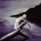 scz686的头像-天机阁
