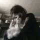 等不到日出