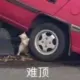 GGLNB的头像-天机阁