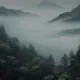 14148989a的头像-投影工坊