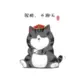 kkw12138的头像-投影工坊