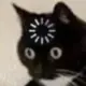 徐云问问