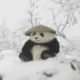 阳先生的头像-投影工坊