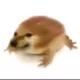 3357705057