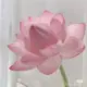 wads的头像-投影工坊