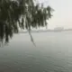 hujinlong的头像-天机阁