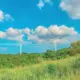 电动车