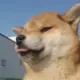 jxnz