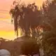 fvsfg的头像-投影工坊