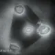 zgdzdxjcxy716