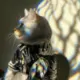 nmm