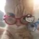 342432432QW的头像-投影工坊