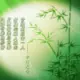 独行客