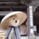 Ws1102778490的头像-天机阁