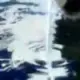 a1078842732