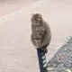 下一站~未知