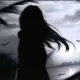 fp