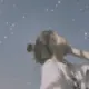 小欣想吃鱼的头像-投影工坊