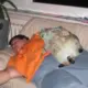 乔季凉