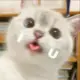 哈哈哈