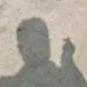 小鳄鱼