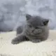 又是你