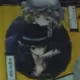 minamiya