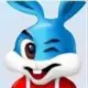 Cony