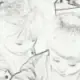 dio
