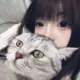 mm7981133的头像-投影工坊