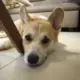 站点头像