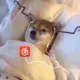 akiyama