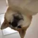 网友昵称：66975584