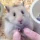 qqqq