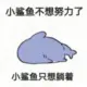 xuyize的头像-天机阁