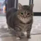 忧小废