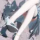 ibukitouko