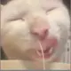mucnx