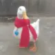 Cyberiad的头像-天机阁