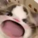 666