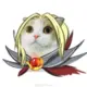 Vlad