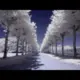 music265