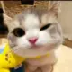 happy.。的头像-投影工坊