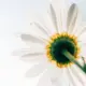 suankuang.com
